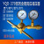 定制氮气减压器YQD-370高压氧气氢气氦气减压阀空调压力表6*2议价 氮气YQD-370精品型(6-25MPa