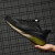 鞋子男网面运动鞋夏季透气薄款网鞋单网休闲鞋软底跑步鞋 黑绿 44