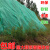 LOMAZOO园林绿化无纺布绿色透气膜工地草坪防尘盖土布护边坡植草籽覆盖膜 15克绿色1.0米*700米700平