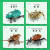 開智（KAZI）昆虫积木系列蜻蜓螳螂模型拼装玩具儿童生日礼物组装动物积木 昆虫80041