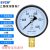 上海仪川仪表 径向负压真空压力表Y100 水压油压气压表 0-1.6MPa Y100 0-0.25MPa