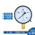 适用上海仪川仪表 径向负压真空压力表Y100 水压油压气压表 0-1.6 Y100 0-10MPa