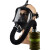 援邦 邦固MF14防毒面具防护化工自吸过滤式防毒面具全面罩 (含3级1号滤毒罐1瓶/0.5米导管) 
