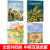 台湾绘本快乐成长创作绘本4册 儿童早教启蒙益智故事书 宝宝睡前故事书籍