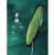 嘉羽（JIAYU）寒黎系列双面设计全碳素碳纤维型4U羽毛球拍单拍 绿线-寒黎 1支装 29磅高手