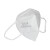 GUANJIE固安捷 G9521 耳带式折叠口罩（环保装）*1箱 50只/袋 10袋/箱