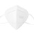 中科贝思达  ZKG9501 耳戴式防护口罩 独立包装 KN95 白色 4盒（200只）