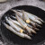 百年渔港 冷冻多春鱼 200g 8-15条（满籽）时令生鲜 烧烤 煎炸小食 聚会必备 海鲜水产 生鲜  