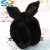 睡觉防噪音耳套可爱保暖耳罩耳捂折叠耳包睡眠防呼噜女女式学习用 兔耳折叠中白色 兔耳折叠中黑色