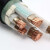 YD电力电缆ZR－YJVR 3*10+1*6 1米价定制 25天