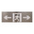 企桥 三江电子标志灯具；SJ-BLJC-Ⅱ1LRE1W/F2031