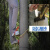 脚扣水泥杆电工国标脚爬电线杆的脚踏上电杆脚钩爬树工具脚踏板 大口径250mm爬杆6 8米
