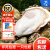 鲜海道【活鲜】鲜海道生蚝  乳山牡蛎 新鲜海蛎子生鲜贝类 优选XL5斤送酱（20-25只））