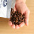 圣贵兰 意大利进口咖啡豆1kg 意式特浓型 1kg 1袋