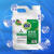 PLAIN 84消毒液5.2斤 商用消毒水衣物漂白洁厕含氯除菌环境