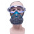 仁聚益防工业粉尘 透气可清洗面具 打磨装修防护面罩 带 防雾护目镜 防 1502蓝硅胶+防雾风镜