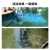 博宇（BOYU）鱼池吸污机污泥吸取器池塘清洁机游泳池吸泥机家用鱼池排污泵吸粪 净水套餐1：吸污机+YT6000过滤箱