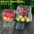 一次性水果盒 超市一次性水果包装盒透明塑料盒水果500M水果店一 1813H4黑色约一斤装-100个