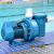 定制适用蓝泳HL大款水泵泳池水疗按摩吸污游泳池带毛发过滤器循环过滤水泵 HL-2.0HP2F220V HL-1.5HP/220V