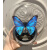 承琉西风闪蝶蝴蝶标本工艺品玻璃罩水晶球高颜值礼物蓝色蝴蝶家居摆件 玻璃罩款