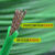 奔新农（BENXINNONG）绿钢丝绳包塑葡萄架遮阳网晾衣绳牵引大棚猕猴桃百香果 8MM钢丝绳包塑5米一套