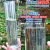 动力瓦特 雨量筒 塑料雨量器 教学雨量计 雨量杯 不锈钢雨量计【整体式】 