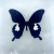 真蝴蝶标本真昆虫天堂已展翅盒装儿童礼物手工教学可取出 大玉斑蝶 其他长方形尺寸 独立