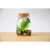 MOJY幸福海藻球微景观生态瓶创意迷你植物桌面玻璃瓶天然水培球藻盆栽 150ml天然石(带灯) 包括2颗满月球球