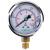 伊莱科（ELECALL）耐震压力表充油气压表液压表油压表自来水压力表径向真空 YTN-60 0-1MPA