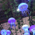 北原野子led塑料水母灯仿真亚克力景观灯公园户外七彩变色气氛装饰灯