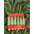 适用于捆莴笋专用胶带 )粘性好 扎的牢 蔬菜捆扎胶带 3.6宽长200米 2卷红色