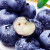 言象酸甜口感新鲜水果 孕妇宝宝可食用新鲜蓝莓 当季蓝莓 125*6盒单 果  12-14 MM