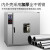 电热恒温鼓风干燥箱小型实验室烘箱焊条烘干箱500度高温工业烤箱 101-1B(不锈钢45*35*45)