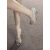 鞋柜（shoebox）达芙妮集团旗下OMG绝美高级性感高跟鞋法式水钻凉鞋细跟 香槟色 35
