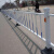 丰昂 黄金护栏城市道路护栏公路市政隔离栏杆锌钢护栏围栏马路防撞活动护栏 高0.85米*3.1米/套