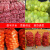 定制网袋编织袋装玉米洋葱塑料加密加厚绿色网眼袋橙子水果网兜袋 桔红加密40*70(承重约30斤)