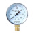 水压表自来水水压测压表分分分水管地暖检测压力表 0.4MPa4KG配4分接头