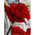 维诺亚扭扭棒巨型玫瑰花荷花向日葵花束手工材料包郁金香三八节礼物 [巨型芍药花]全套材料包+送色