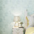德尔菲诺 DELFINO欧式无缝墙布屋卧室现代简约墙纸法式客厅壁布背景墙包安装 薄荷蓝DO50-23/国包人工包辅料 1