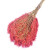 领象 环卫扫把笤帚扫帚 扫马路竹扫把 竹扫帚大扫把高2.1米塑料丝款