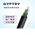 GYFTZY-24B1.3室外管道光纤4/8/12/16/48/96/144芯非金属阻燃光缆 GYFTZY-12芯