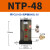 NTP48活塞式18 FAL25管道BVP气动32振动器FP-12-35-40-50-60-80-M NTP-48 带PC10-03+3分平头消声