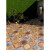 顶楼室外露台地砖防滑 美式庭院砖 户外院子花园瓷砖 花砖600x600 63073一版多面 600*600