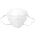 海龙博科N95口罩耳挂式独立灭菌装  透气 防飞沫口罩 白色成人N95口罩  N95带钢印1000个一箱装