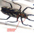 绿野客昆虫标本真虫 蛇鸟动物骨骼标本 真实树脂昆虫标本真虫甲虫蜘蛛锹 巨型蝈蝈
