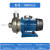 凌霄DWK系列广东泵半开式叶轮不锈钢离心泵2寸口径洗碗机颗粒泵 DWK025220V025KW