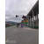 红绿灯杆监控杆道路八角杆交通信号灯杆电子杆交通标志杆 常规F杆3*1.8 主杆φ219*7.3米