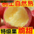 陕西洛川苹果水果新鲜当季红富士冰糖心丑苹果整箱10斤尝鲜 小果尝鲜 1斤