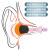 LISMInfiter记忆海绵耳塞套入耳式耳机海绵套C套水月雨耳机套替换Comp S小号1对 FT45系列(圆柱形带精细滤网