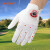 秀仕宝（Southport） 高尔夫手套女士 透气防滑耐磨 高尔夫用品手套一对装 心形女手套 SLG1070 心型 18